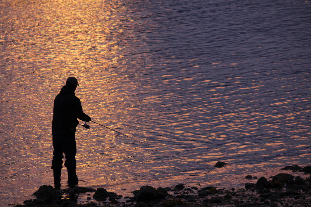 wrangell-fishing