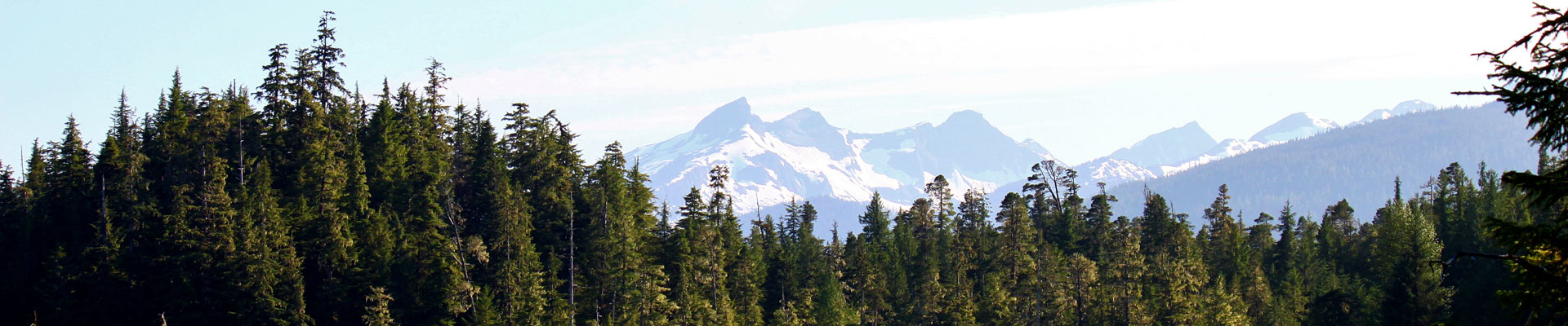 wrangell-gallery-title-bg