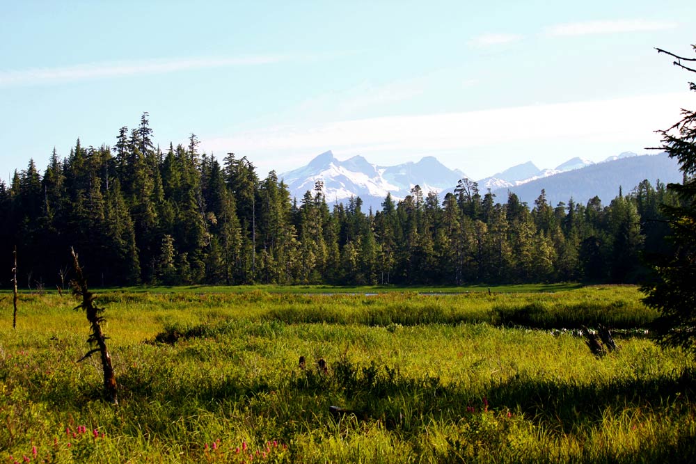 wrangell-range