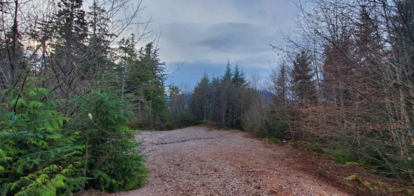 Plat 29-20 lot 3, Wrangell, Alaska 99929, ,Land,Lots and Land,Plat 29-20 lot 3,1191