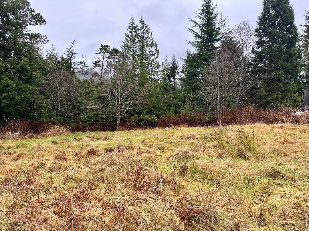 Lot 13b Shoemaker loop, Wrangell, Alaska 99929, ,Land,Sold Listings,Shoemaker loop,1194