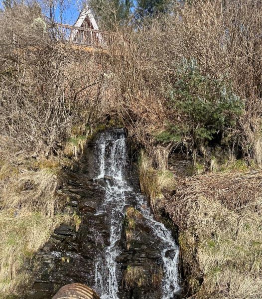 3.5 Zimovia Hwy, Wrangell, Alaska 99929, 4 Bedrooms Bedrooms, ,2 BathroomsBathrooms,Single Family Home,Sold Listings,Zimovia Hwy,1203