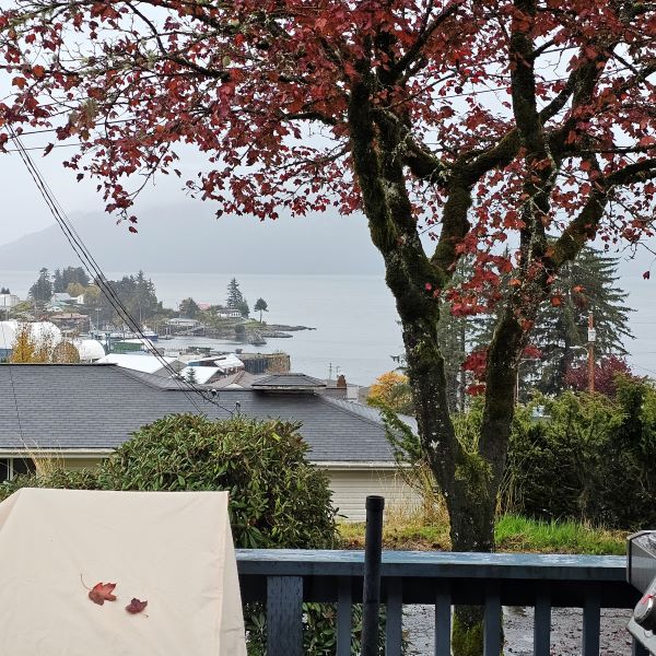 304 First Ave, Wrangell, Alaska 99929, 2 Bedrooms Bedrooms, ,2 BathroomsBathrooms,Single Family Home,Homes,First Ave,1211