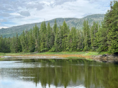 Block 1 Lot 3 Thom's place, Wrangell, Alaska 99929, ,Land,Sold Listings,Thom's place,1218