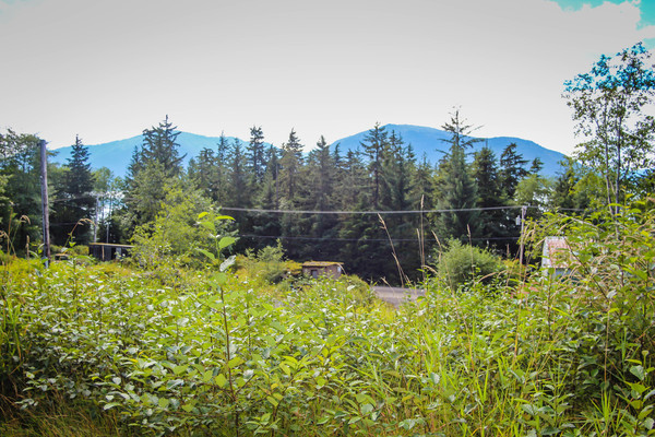 8.9 mile,Wrangell,Alaska 99929,Land,8.9 mile,1020