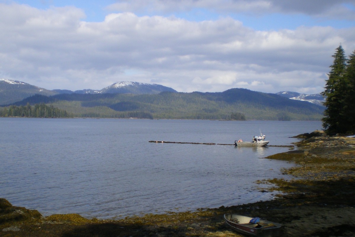 Olive Cove,wrangell,Alaska 99929,Land,Olive Cove,1021