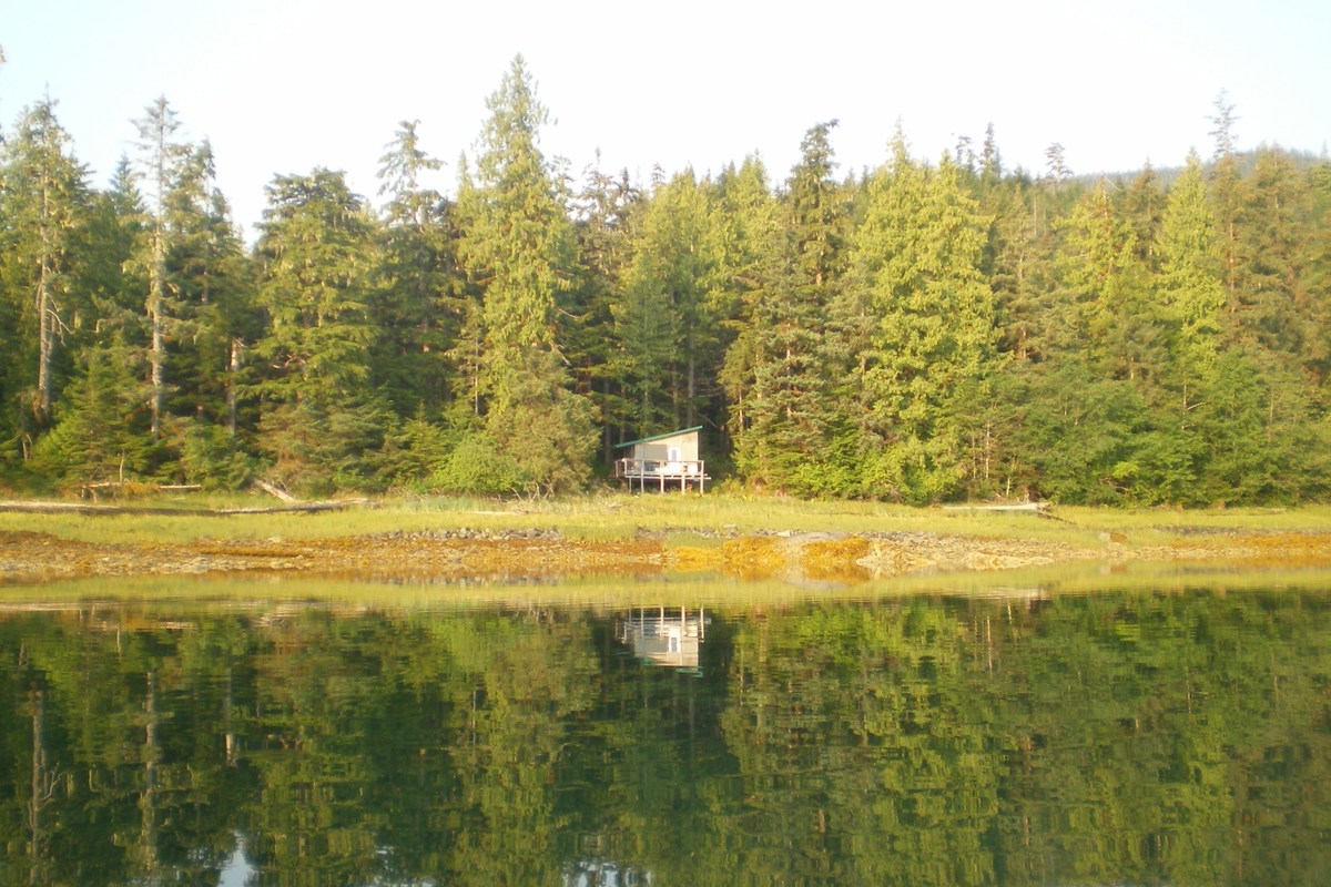 Olive Cove,wrangell,Alaska 99929,Land,Olive Cove,1021