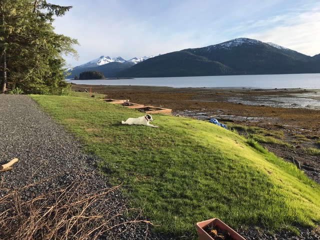 11.2 Zimovia Hwy, Wrangell, Alaska 99929, 2 Bedrooms Bedrooms, ,2 BathroomsBathrooms,Single Family Home,Homes,Zimovia Hwy,1233