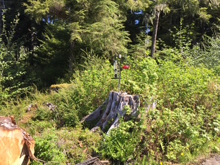 11.2 Zimovia Hwy, Wrangell, Alaska 99929, ,Land,Lots and Land,Zimovia Hwy,1234