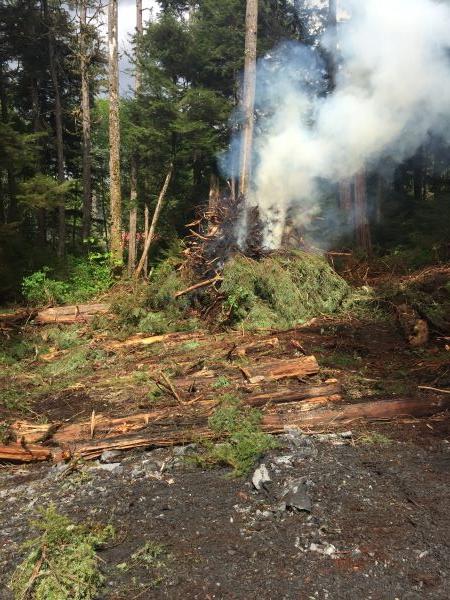 11.2 Zimovia Hwy, Wrangell, Alaska 99929, ,Land,Lots and Land,Zimovia Hwy,1234