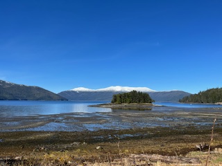 11.2 Zimovia Hwy, Wrangell, Alaska 99929, ,Land,Lots and Land,Zimovia Hwy,1234