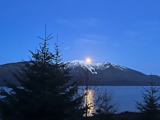 11.2 Zimovia Hwy, Wrangell, Alaska 99929, ,Land,Lots and Land,Zimovia Hwy,1234