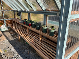 11.2 Zimovia Hwy, Wrangell, Alaska 99929, ,Land,Lots and Land,Zimovia Hwy,1234