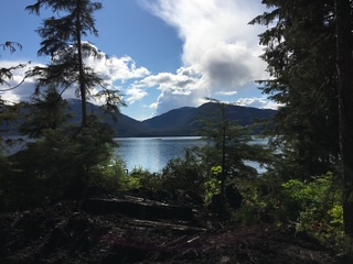 11.2 Zimovia Hwy, Wrangell, Alaska 99929, ,Land,Lots and Land,Zimovia Hwy,1234