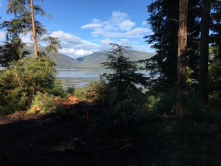 11.2 Zimovia Hwy, Wrangell, Alaska 99929, ,Land,Lots and Land,Zimovia Hwy,1234