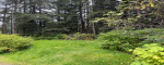 4B-1 Evergreen Ave, Wrangell, Alaska 99929, ,Land,Homes,Evergreen Ave,1261