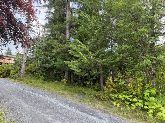 734 Case Ave, Wrangell, Alaska 99929, ,Land,Lots and Land,Case Ave,1263