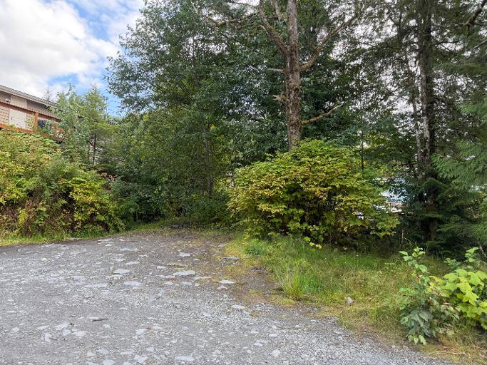 734 Case Ave, Wrangell, Alaska 99929, ,Land,Lots and Land,Case Ave,1263