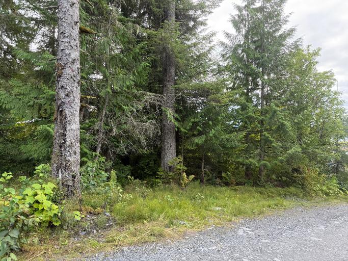 734 Case Ave, Wrangell, Alaska 99929, ,Land,Lots and Land,Case Ave,1263