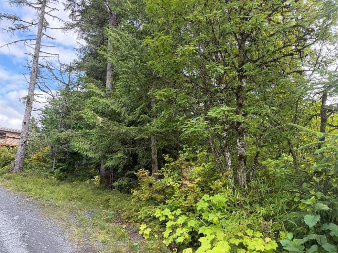 734 Case Ave, Wrangell, Alaska 99929, ,Land,Lots and Land,Case Ave,1263