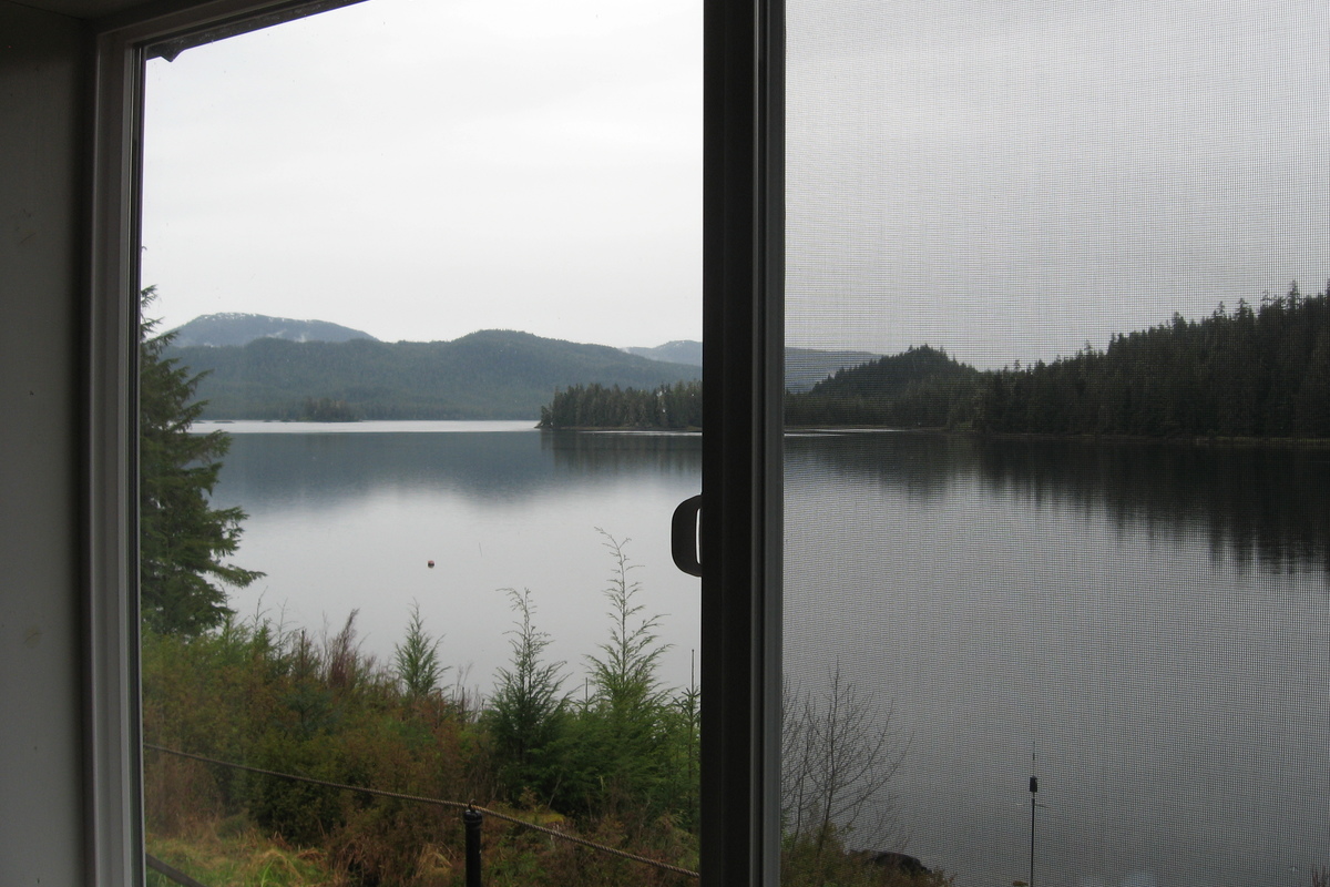 Olive Cove, Wrangell, Alaska 99929, ,Land,Sold Listings,Olive Cove,1030